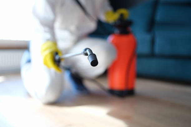 Best Mold Damage Restoration  in Hartford, SD