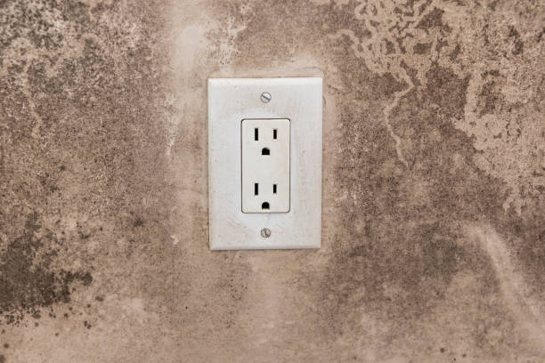 Best Mold Prevention Services  in Hartford, SD